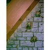 Trompe oeil mural : Esprits de la Fôret
